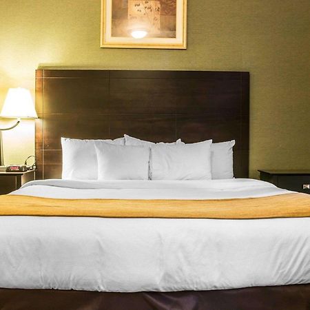 Comfort Inn Whitehall Near Michigan'S Adventure Екстер'єр фото