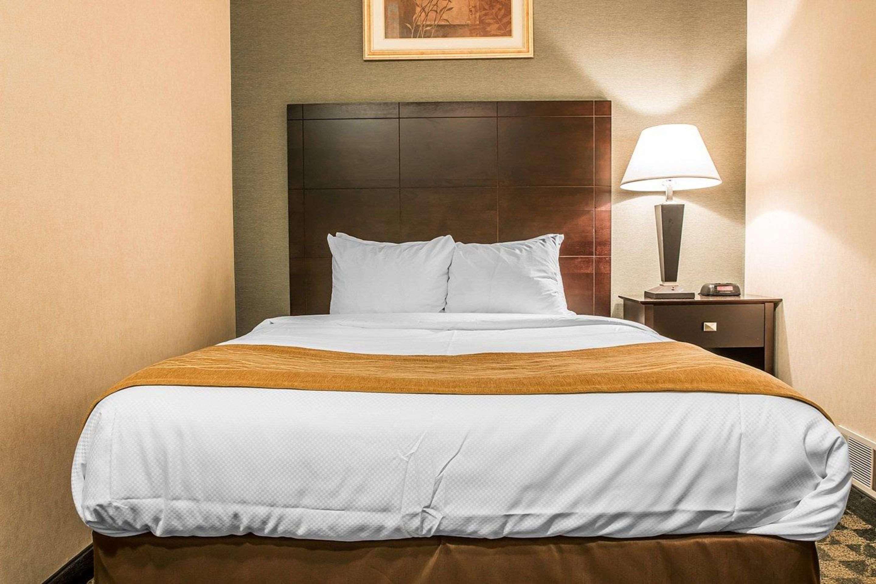 Comfort Inn Whitehall Near Michigan'S Adventure Екстер'єр фото