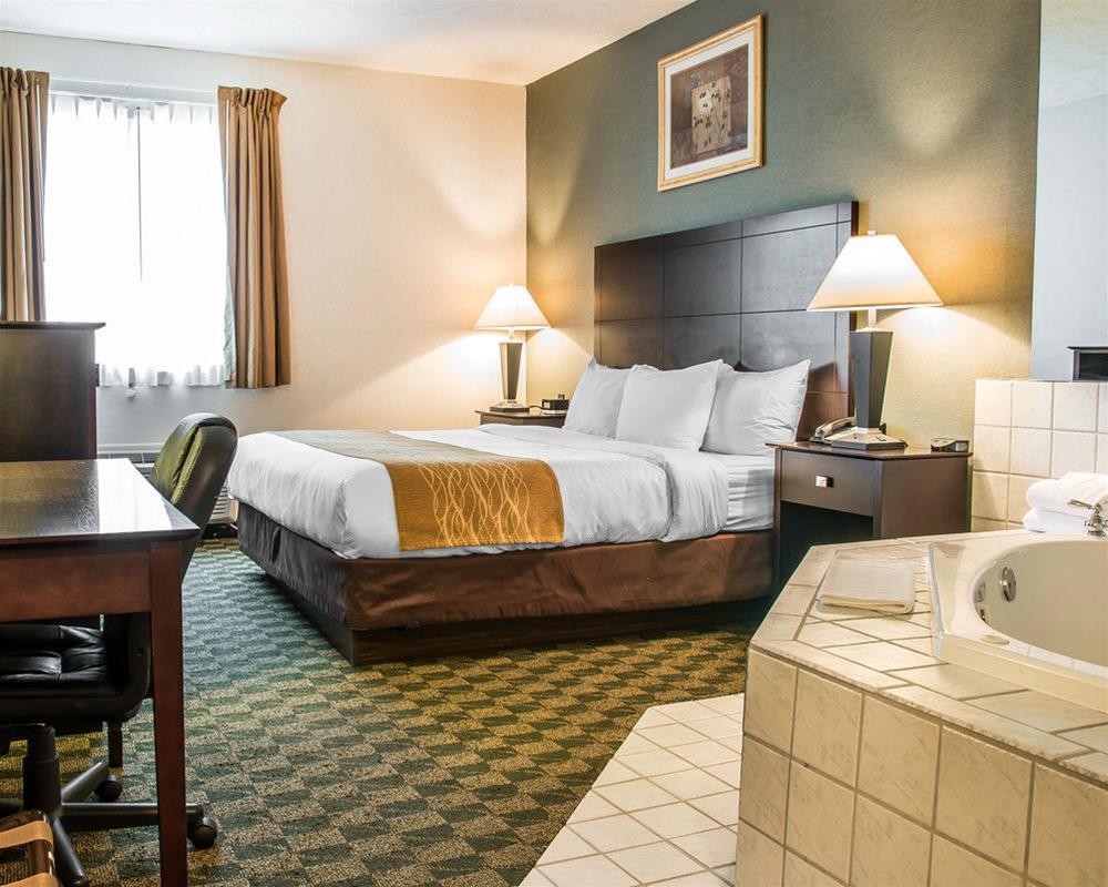 Comfort Inn Whitehall Near Michigan'S Adventure Екстер'єр фото