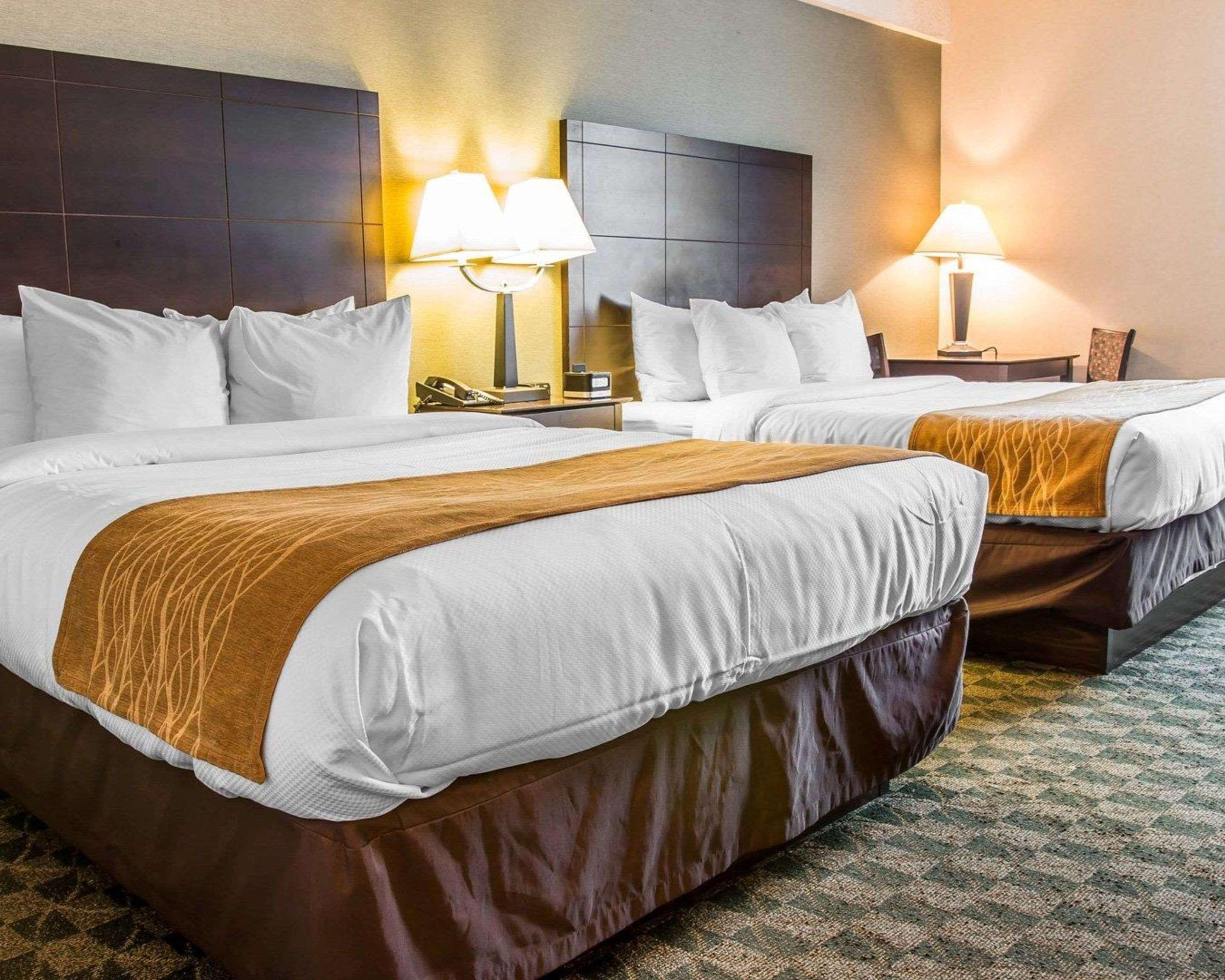 Comfort Inn Whitehall Near Michigan'S Adventure Екстер'єр фото