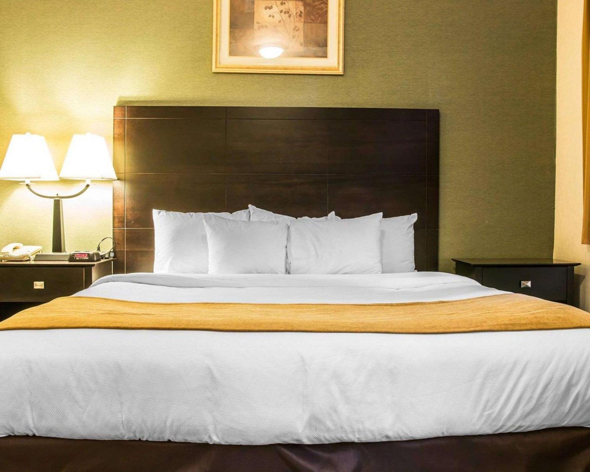Comfort Inn Whitehall Near Michigan'S Adventure Екстер'єр фото