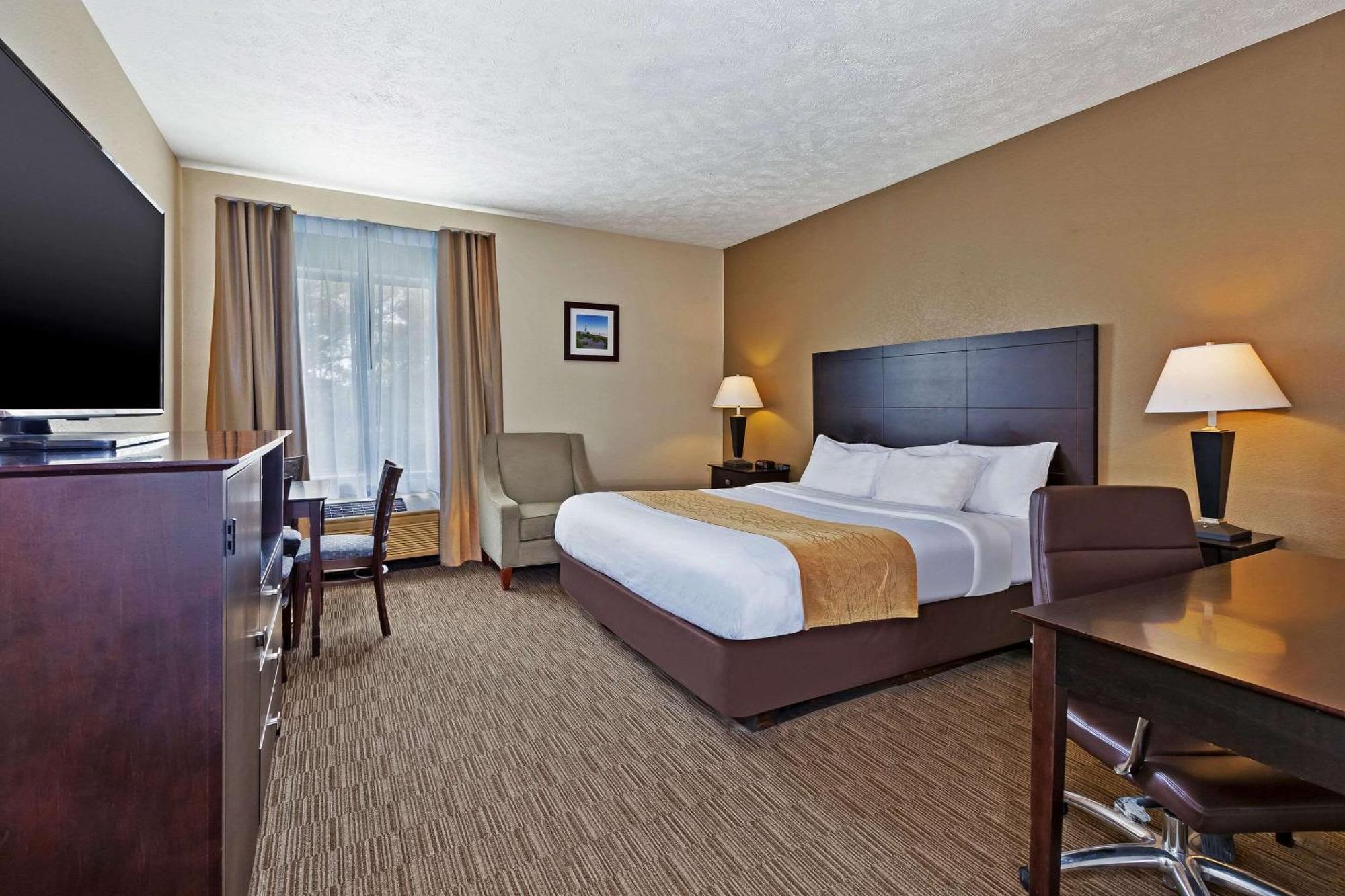Comfort Inn Whitehall Near Michigan'S Adventure Екстер'єр фото