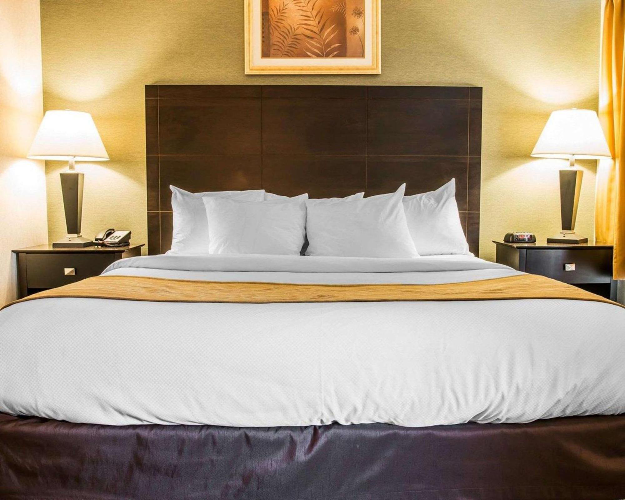 Comfort Inn Whitehall Near Michigan'S Adventure Екстер'єр фото
