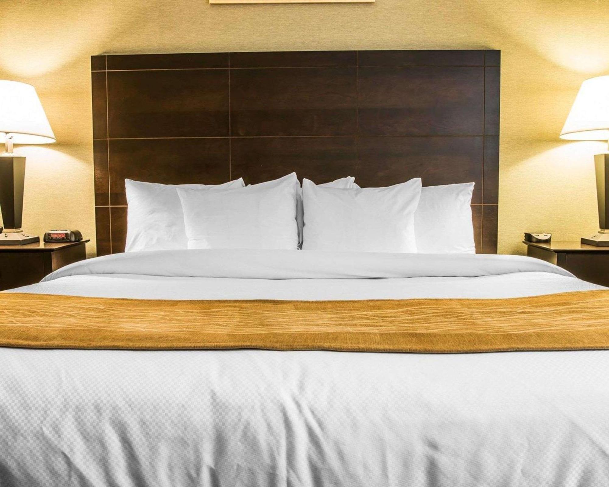 Comfort Inn Whitehall Near Michigan'S Adventure Екстер'єр фото
